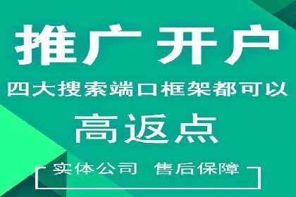 百度竞价排名机制：成功案例与策略探讨